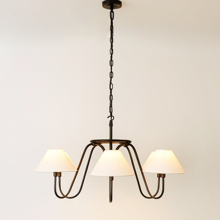 Transform Your Home with a Stuning black chandilier
