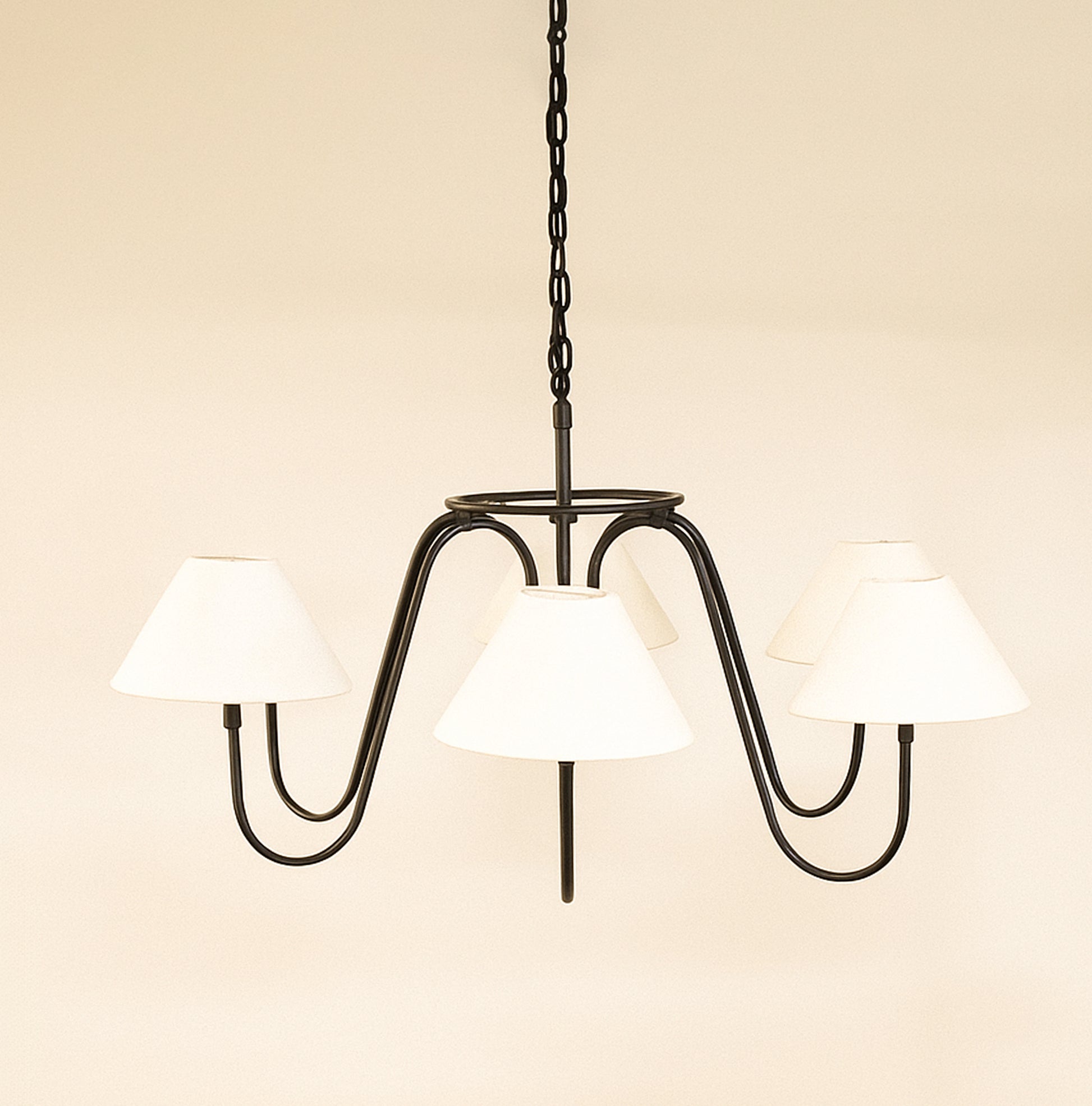 Transform Your Home with a Stuning black chandilier