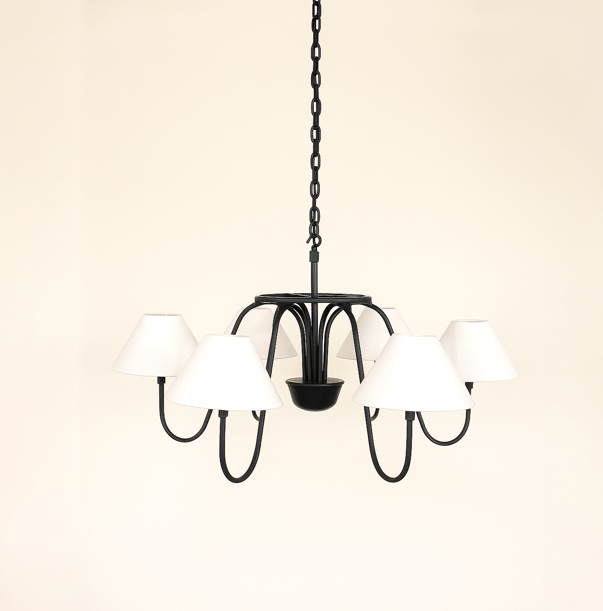 Transform Your Home with a Stuning black chandilier