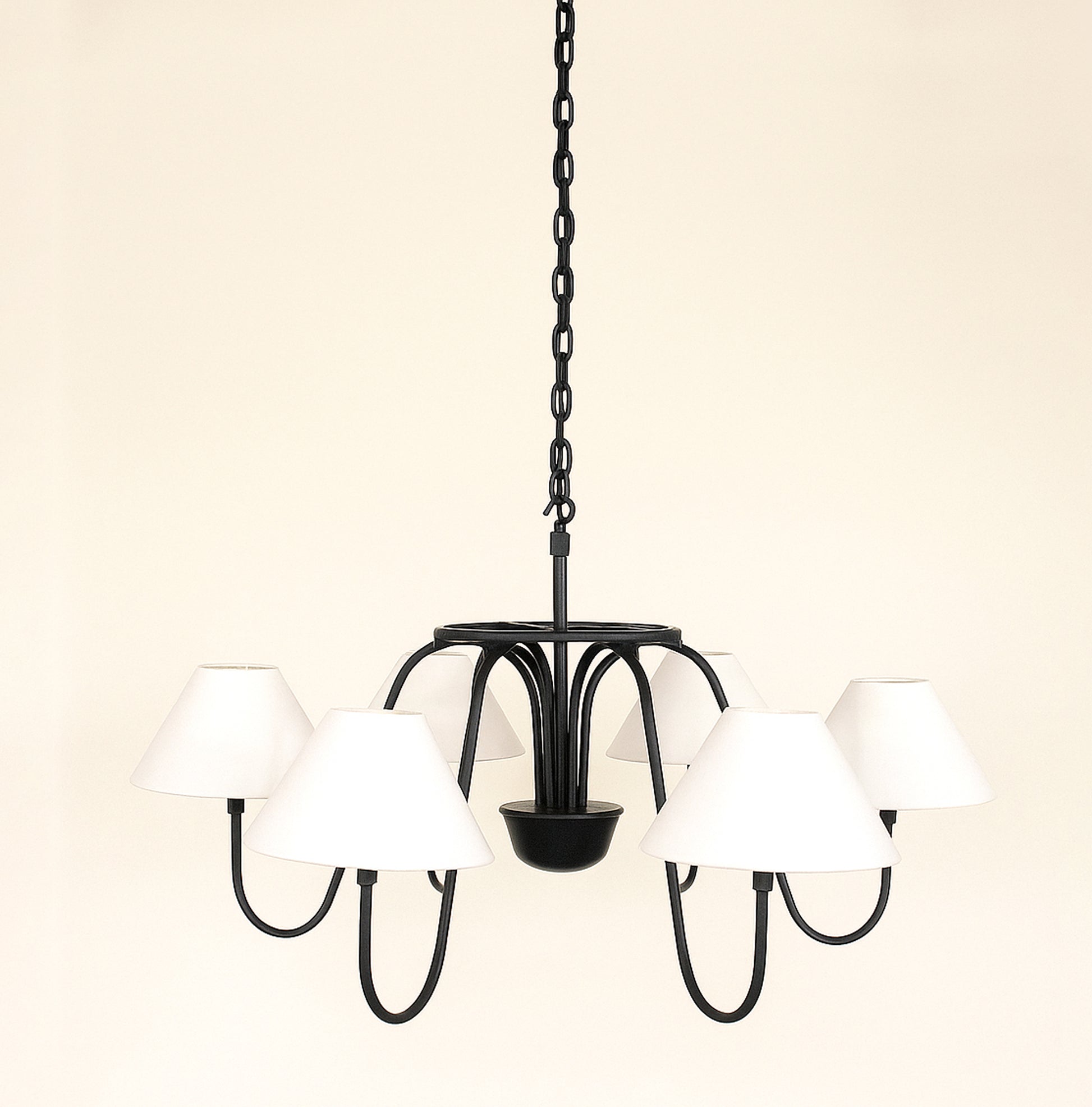 Transform Your Home with a Stuning black chandilier