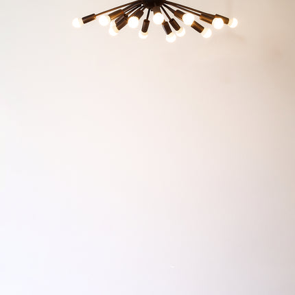 Sophisticated Black and White Chandeliers for Modern Homes matte black