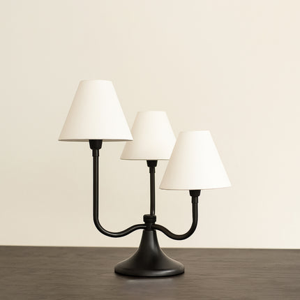 Discover Table Lamps: A Variety of Stunning Shades matte black