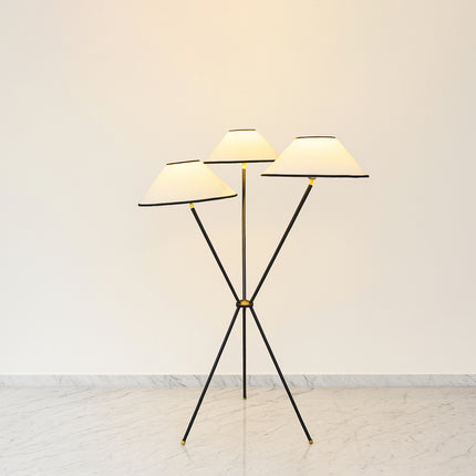 Floor Lamps: A Blend of Functionality and Style matte black