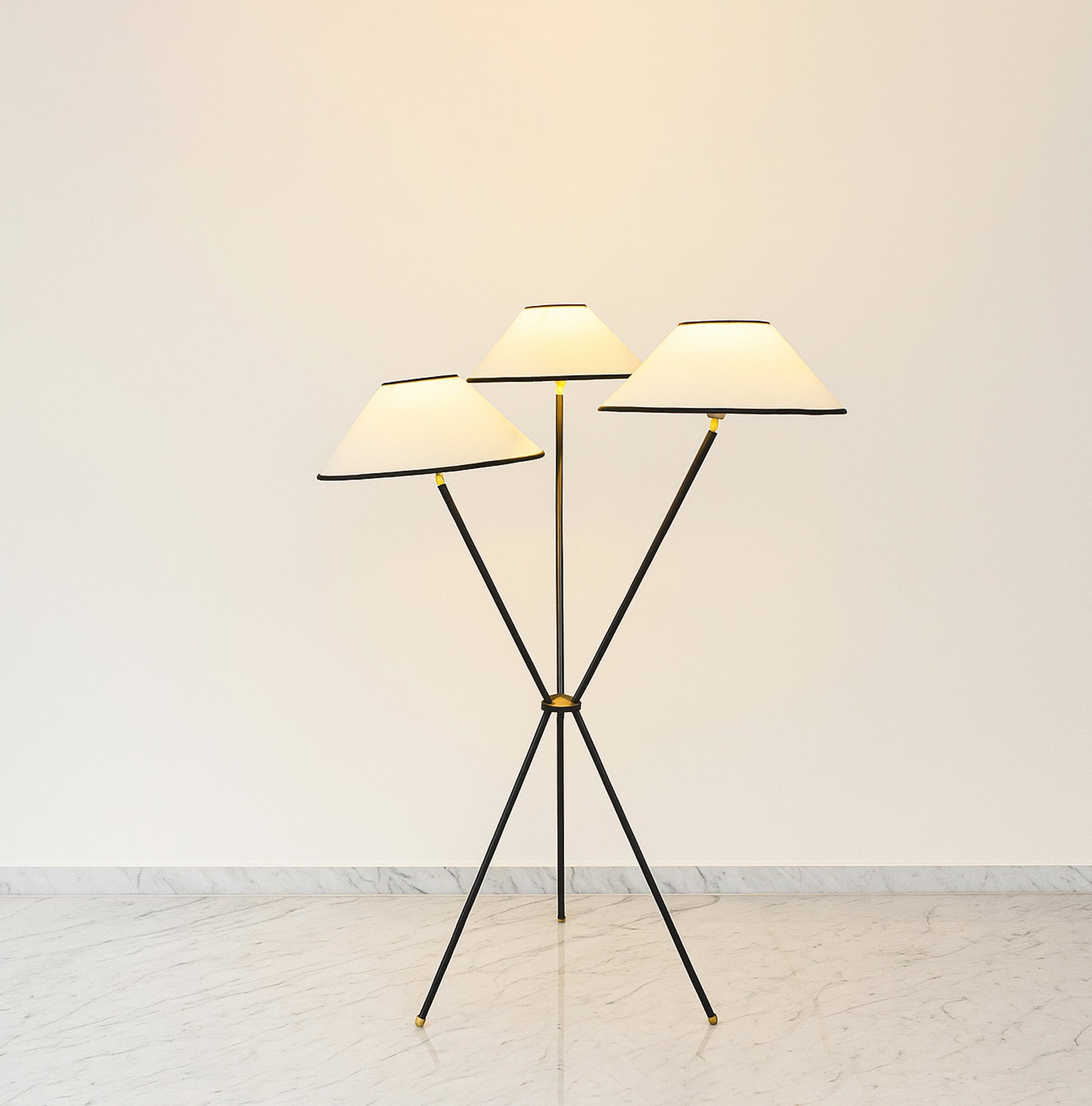 Floor Lamps: A Blend of Functionality and Style matte black