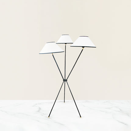 Floor Lamps: A Blend of Functionality and Style matte black
