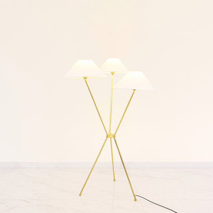 Discover the Best Floor Lamps for Every Room Golden