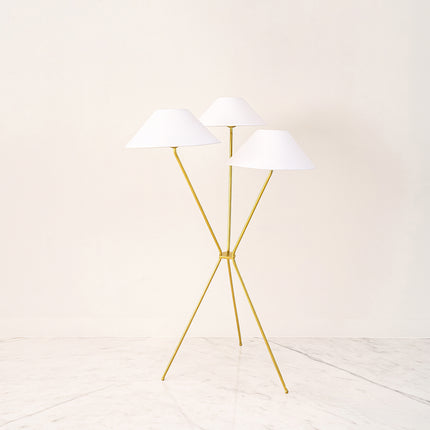 Discover the Best Floor Lamps for Every Room Golden