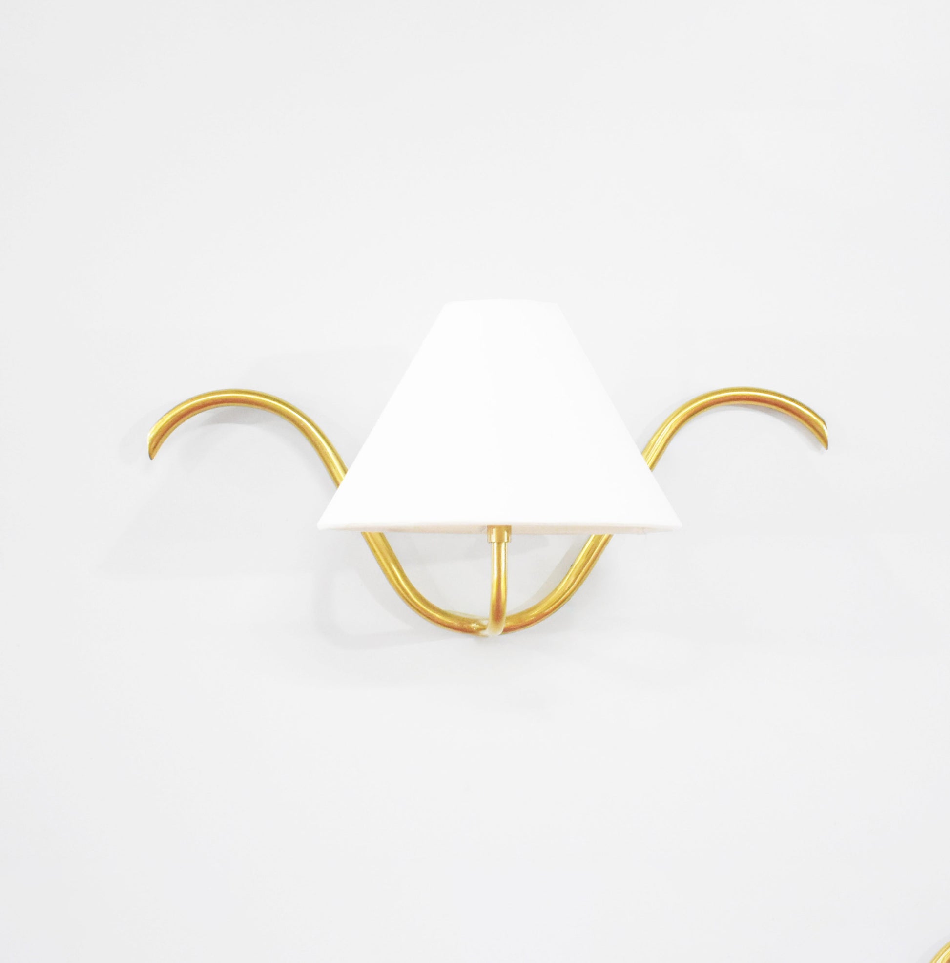 golden Wall Lamps with Canopy for Your Home Decor