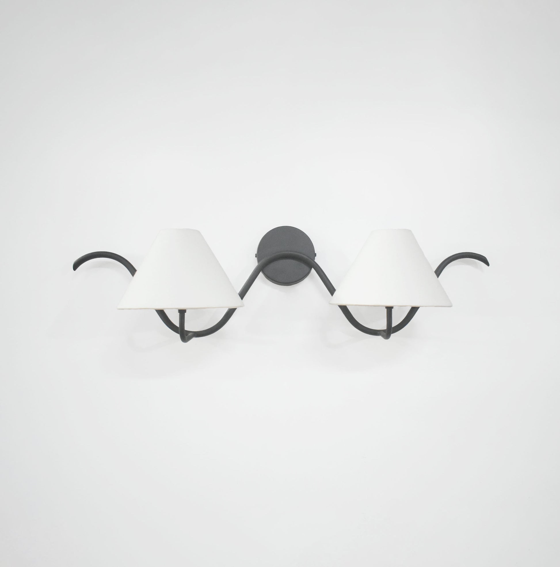 Illuminate Your Space with Elegant Two Wall Lamps