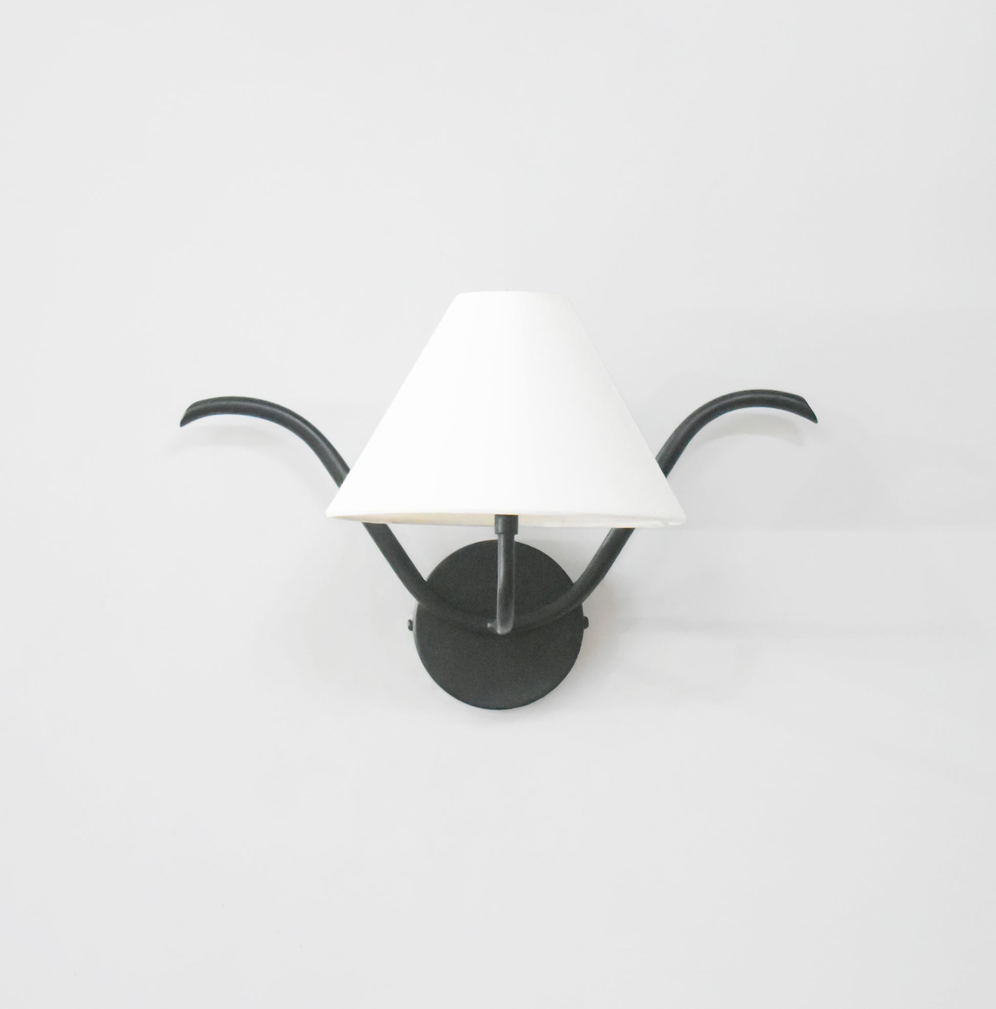 Discover the Beauty of Black Wall Lamps