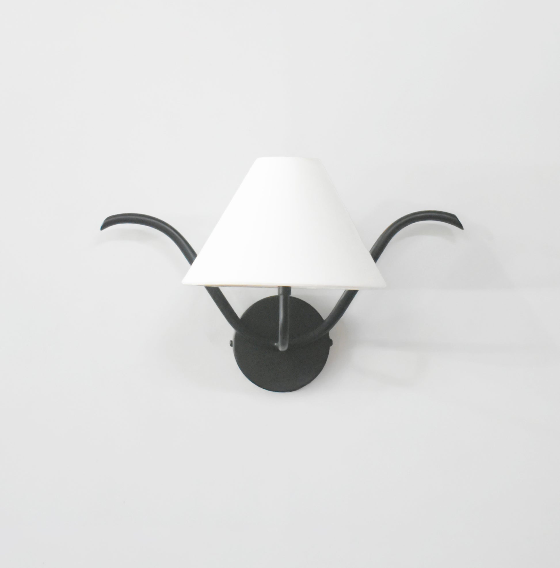 Discover the Beauty of Black Wall Lamps