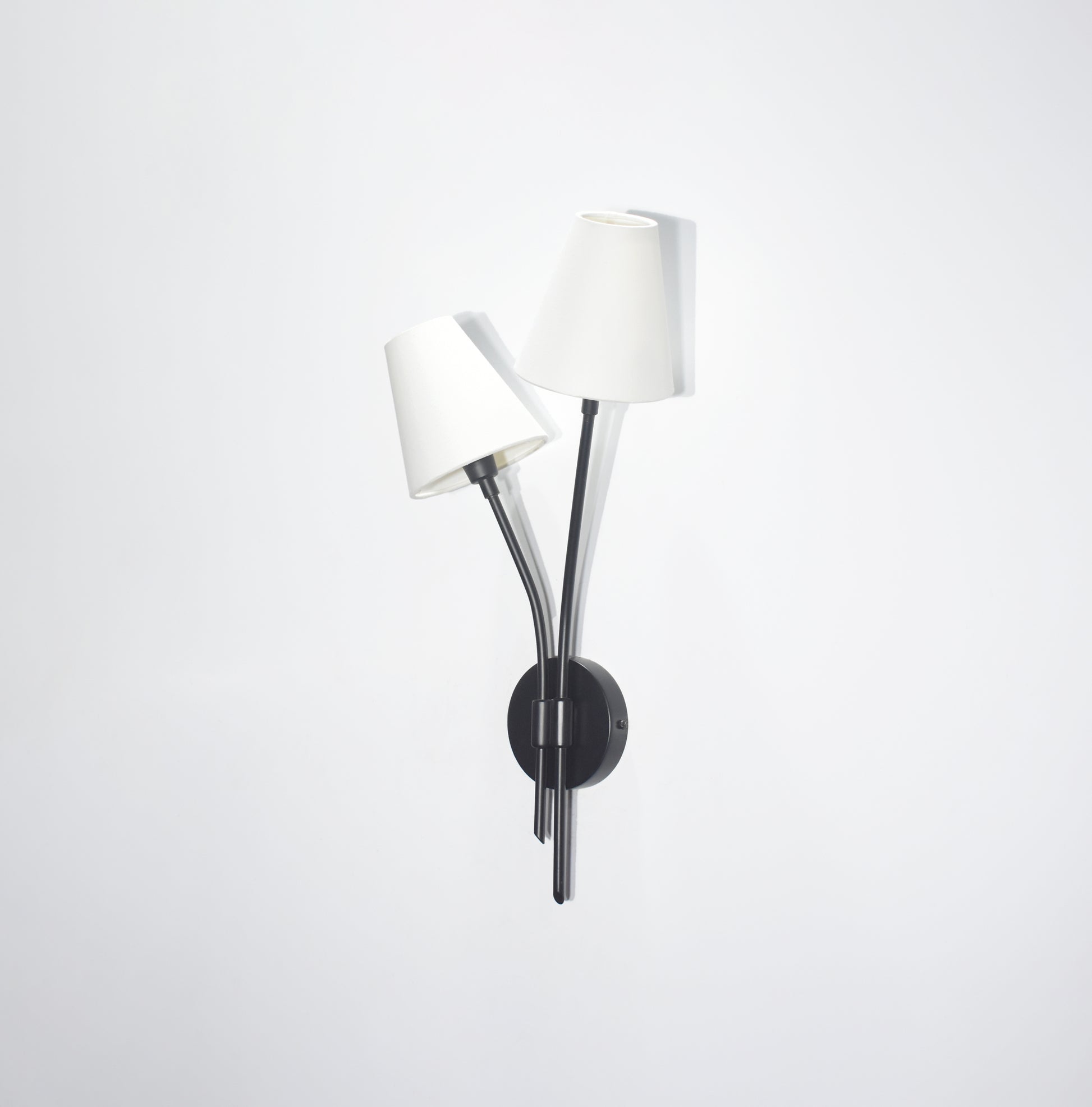 Discover the Versatility of Vertical black Lamps