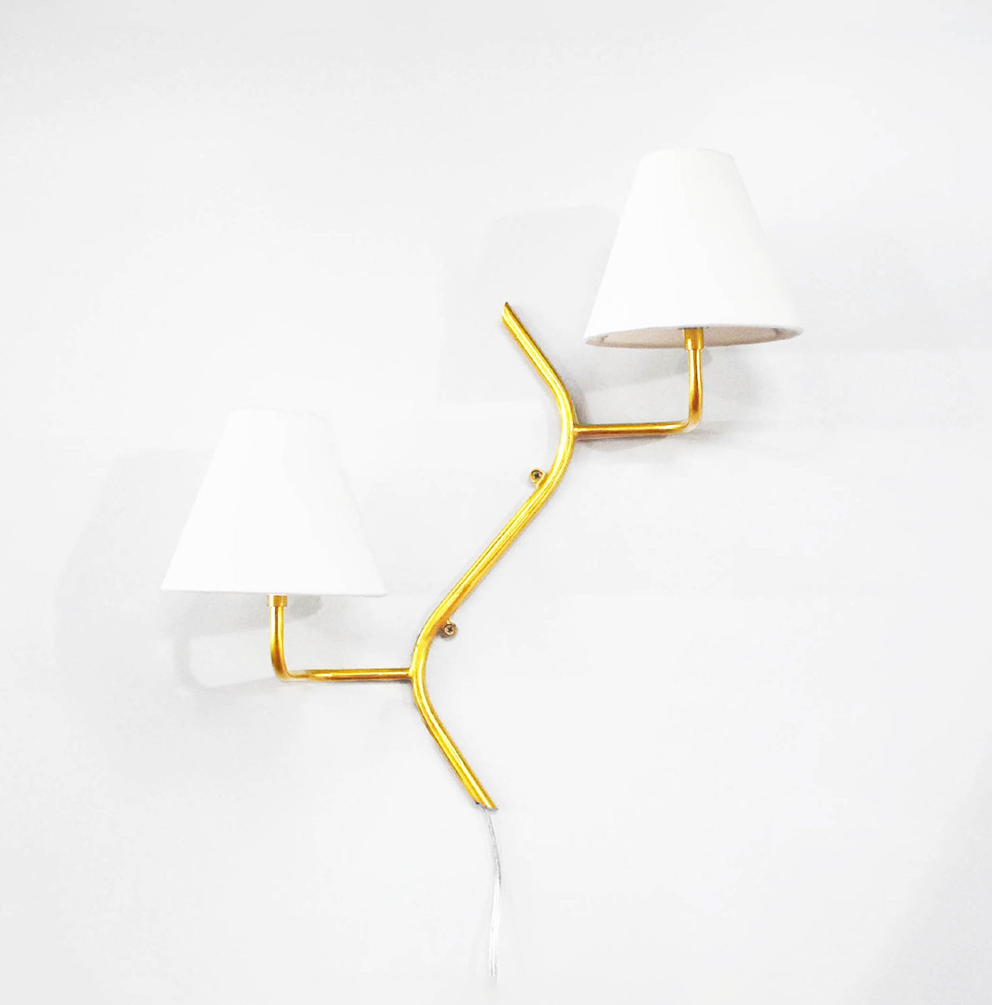Unique Golden Wall Lamps: A Dual Touch of Elegance