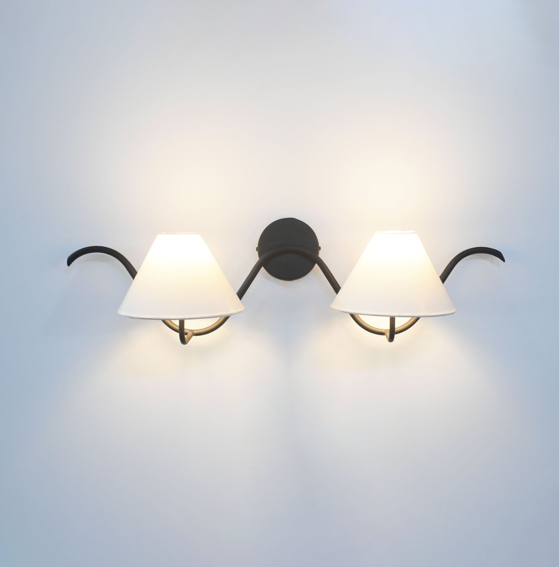 Illuminate Your Space with Elegant Two Wall Lamps