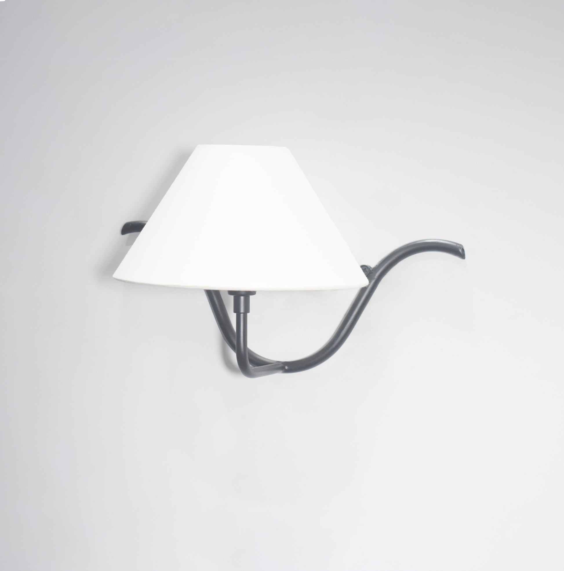 Illuminate Your Space with Black Wall Lamps, No Canopy Needed