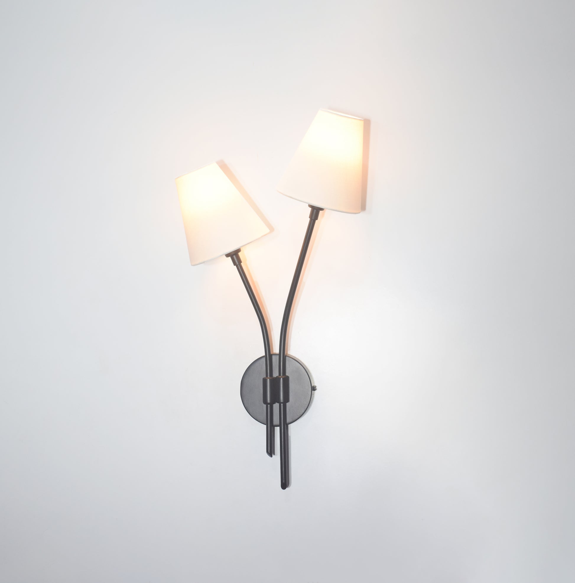 Discover the Versatility of Vertical black Lamps