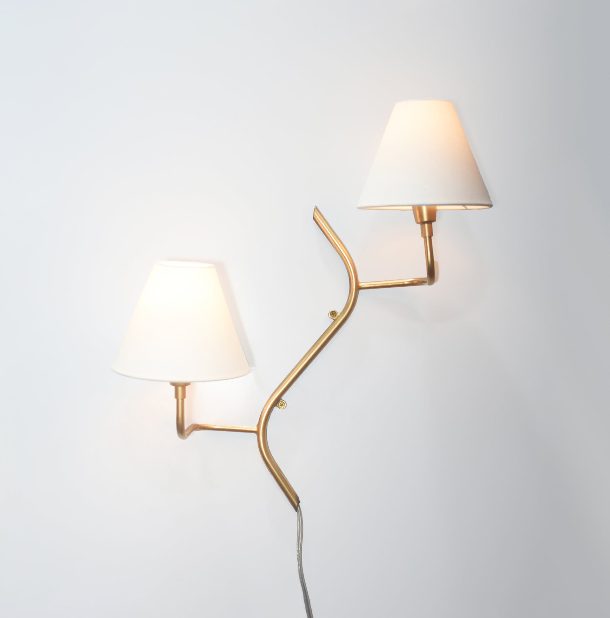 Unique Golden Wall Lamps: A Dual Touch of Elegance