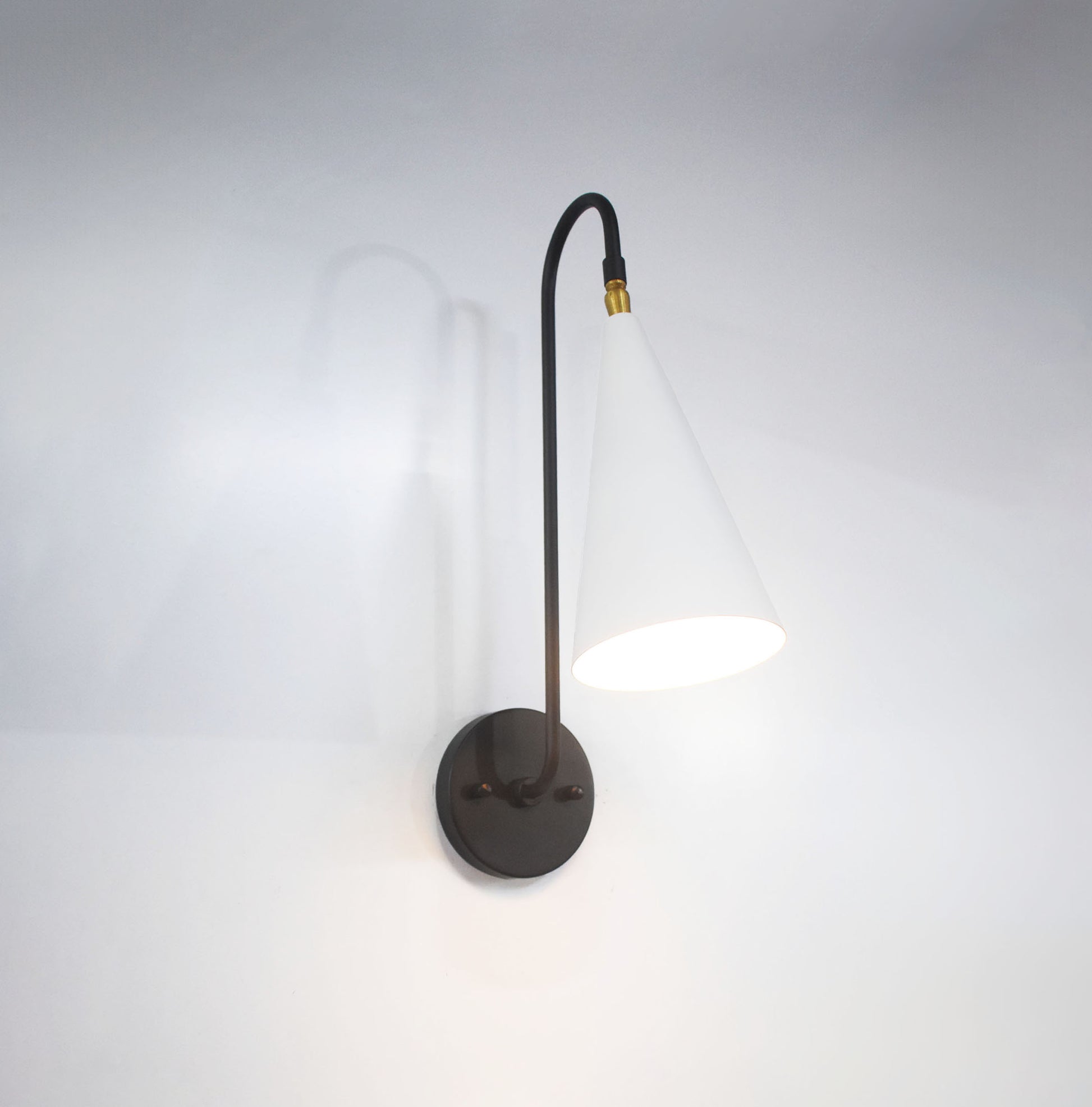 Discover the Versatility of One Lamp White Light