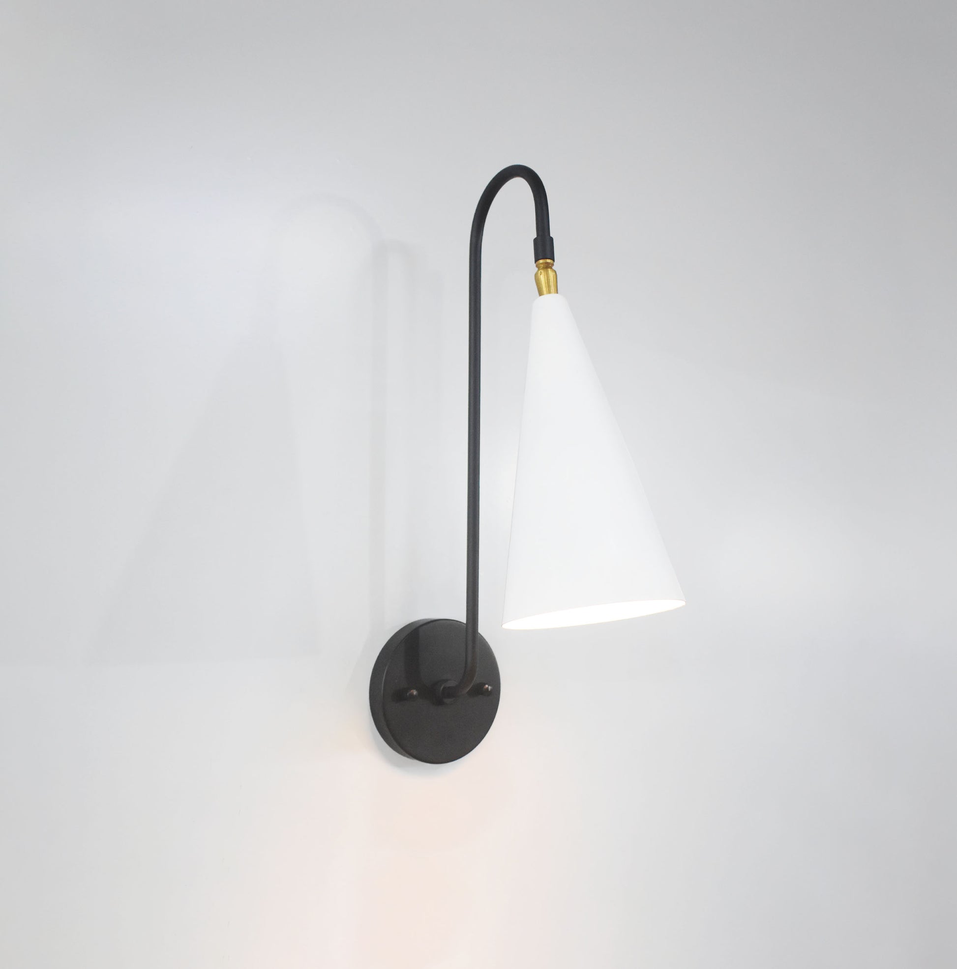 Discover the Versatility of One Lamp White Light